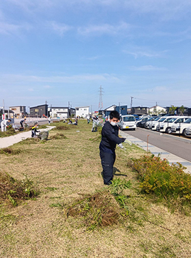 除草中